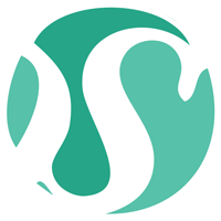 DirectSchool application logo